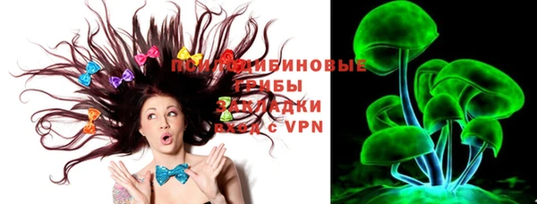 хмурый Семилуки