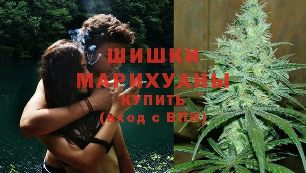 трава Богданович