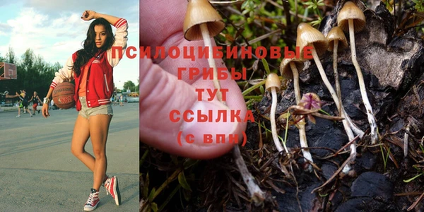 а пвп мука Богородск