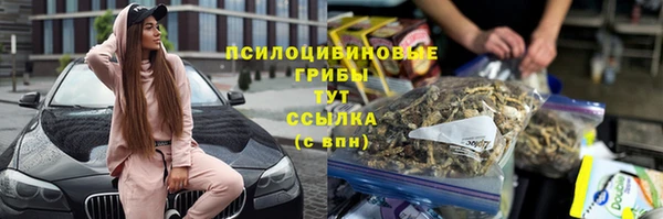 трава Богданович